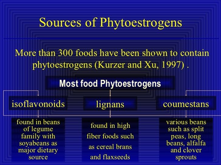 Phytoestrogens Sources